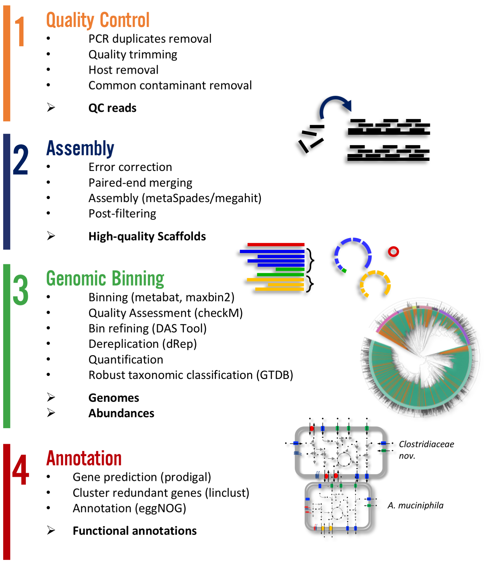 Atlas is a workflow for assembly and binning of metagenomic reads