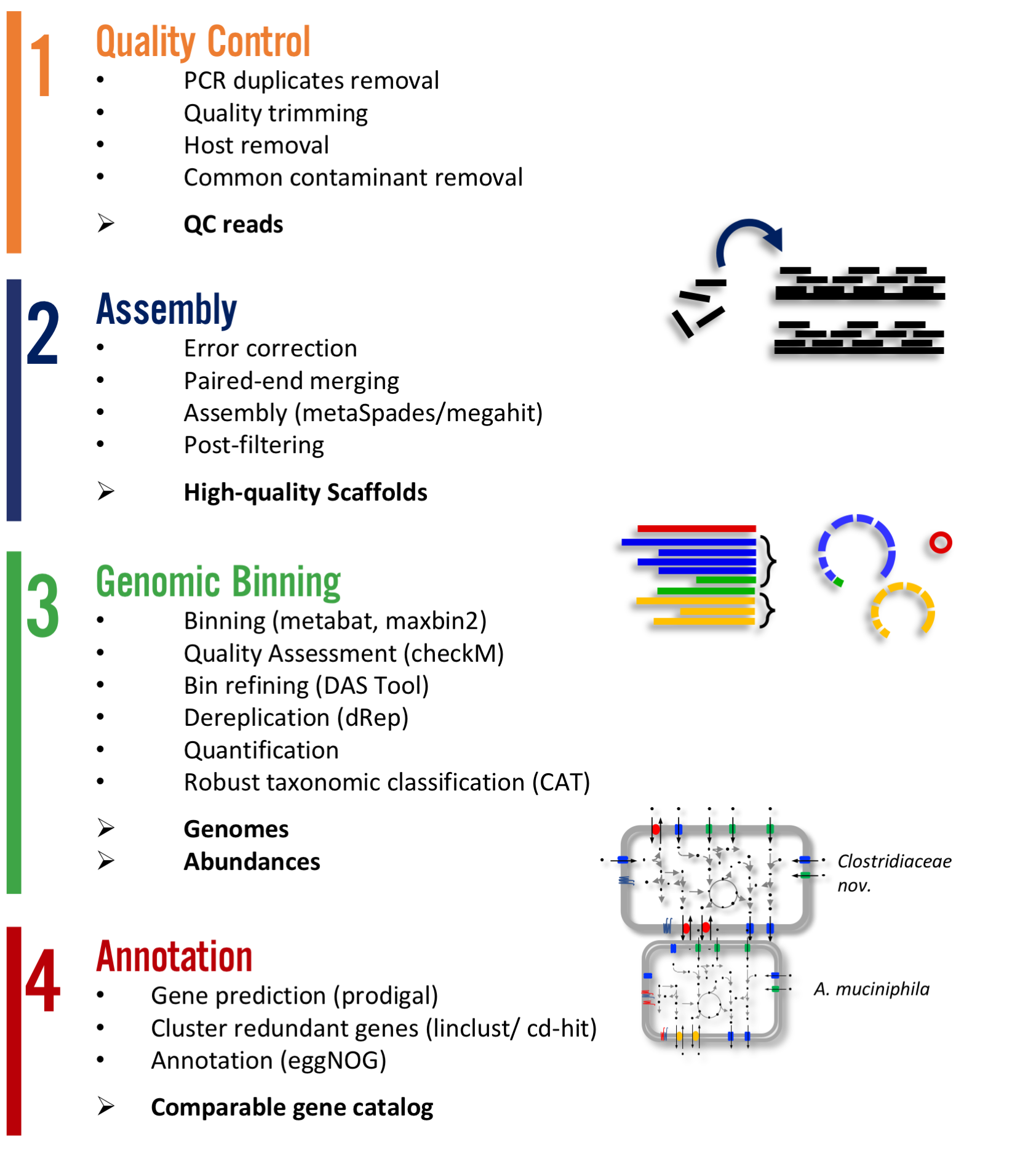 Atlas is a workflow for assembly and binning of metagenomic reads